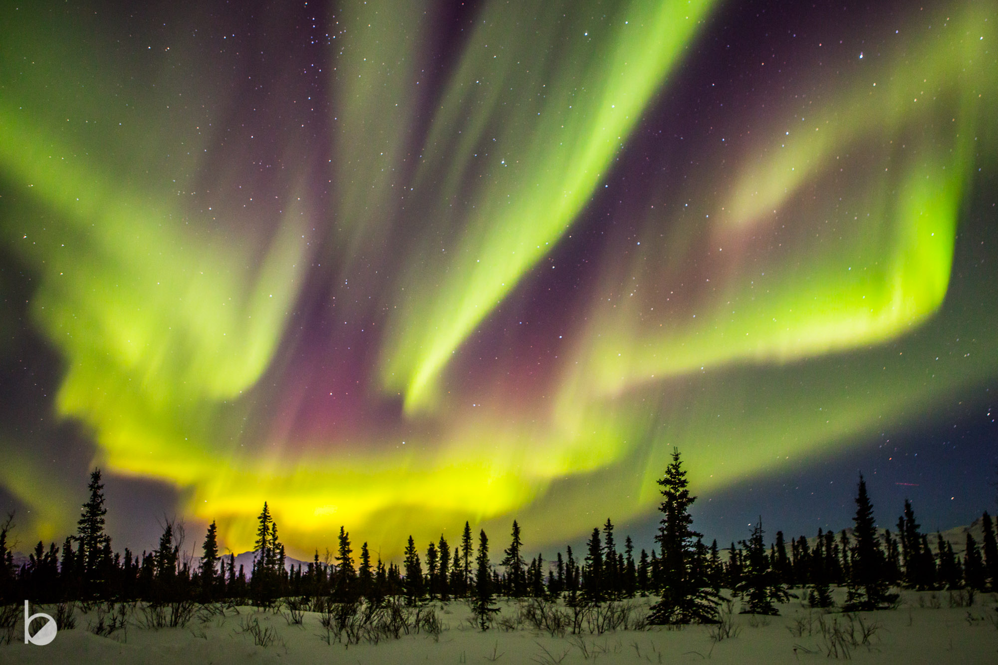 Alaska Boreal 🇺🇸